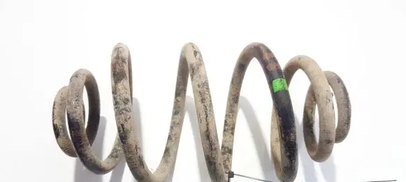 Volkswagen PASSAT B5 Rear coil spring
