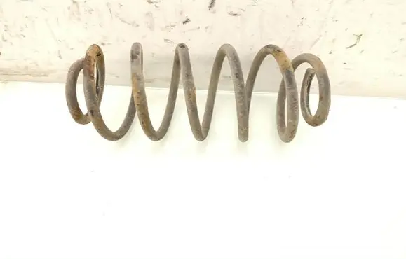 Rear coil spring