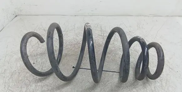 Front coil spring
