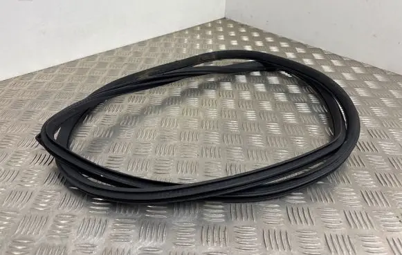 Renault Koleos I Rear door rubber seal (on body) 