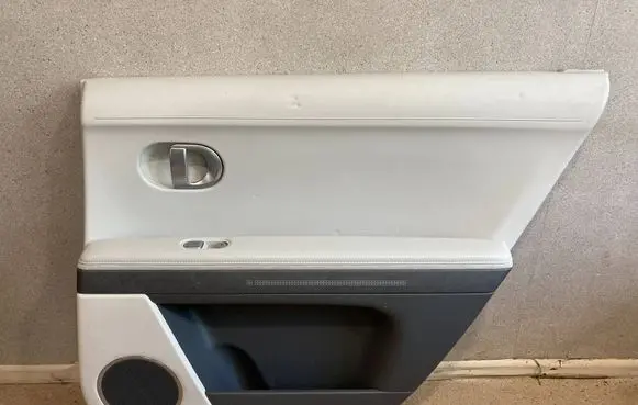 Hyundai Ioniq 5 Rear door card panel trim