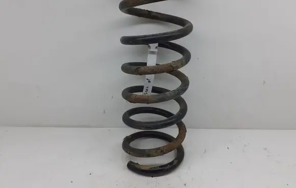 Ford S-MAX Rear coil spring
