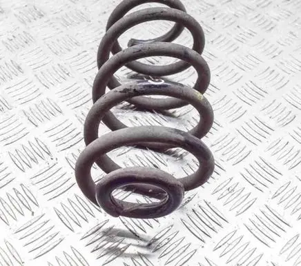 Renault Zoe Rear coil spring