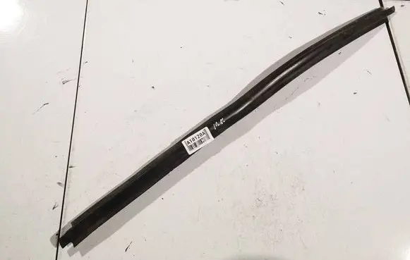 Citroen Xsara Picasso Front door glass trim molding 