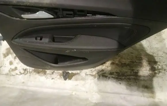 Opel Insignia B Rear door card panel trim 