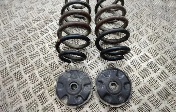 Toyota RAV 4 (XA40) Rear coil spring