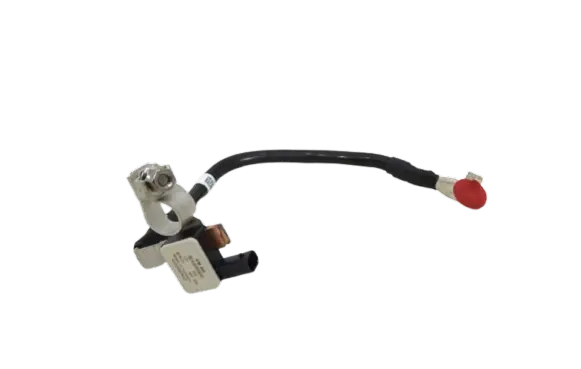 Volkswagen ID.4 Negative earth cable (battery) 1EA915181C SK382002
