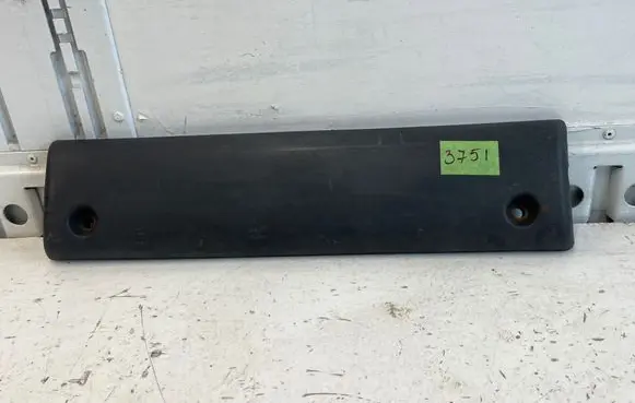 Renault Master II Rear door trim (molding) 7701692574