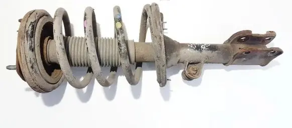 Hyundai Santa Fe Front shock absorber/damper