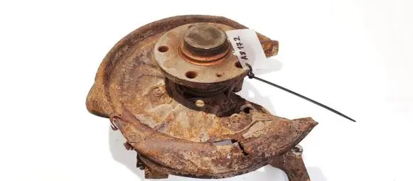 Skoda Octavia Mk2 (1Z) Rear wheel hub didzioji