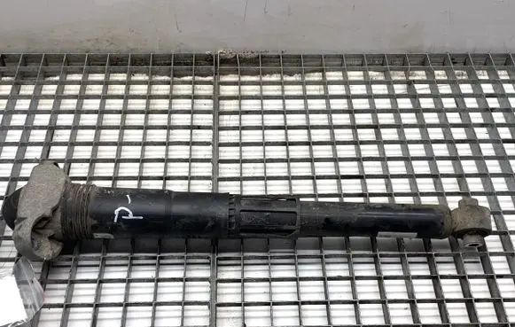 Volkswagen ID.3 Rear shock absorber/damper 1EA512011AD