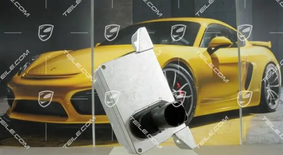 Porsche Cayenne (9PA) Sensor 95560614503