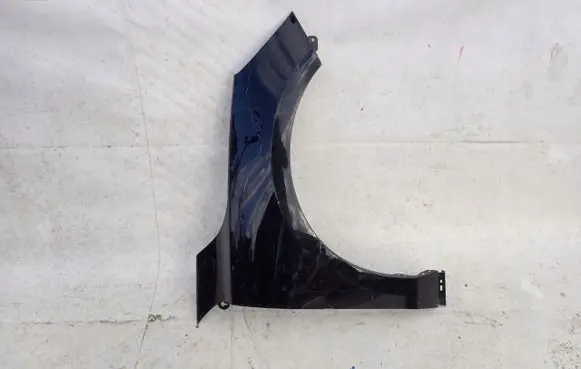 Ford Focus Fender