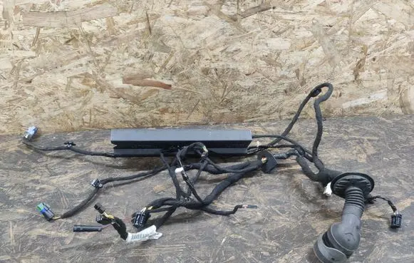 Citroen C6 Front door wiring loom 9663411180