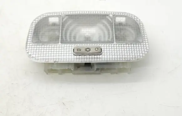 Citroen Berlingo Front seat light 9663069980