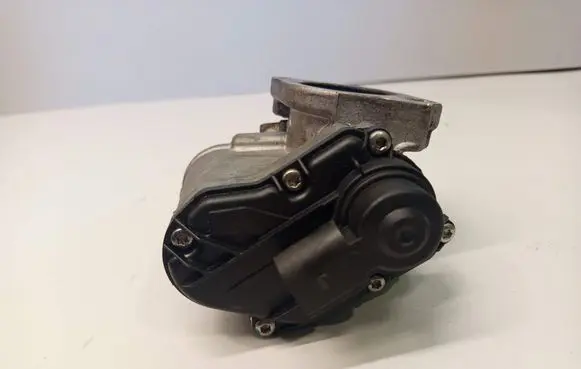 EGR valve