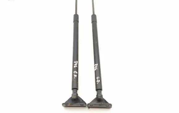 Tailgate/trunk strut/damper