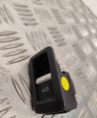 Tailgate opening switch