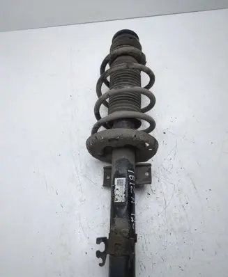Seat Ibiza IV (6J,6P) Front shock absorber/damper 6R0413031M