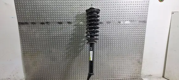 Mercedes-Benz E W213 Front shock absorber/damper A2133201066