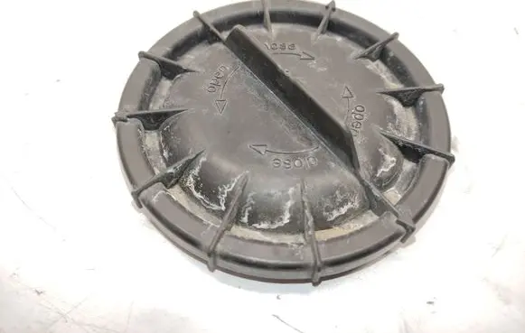 Headlight/headlamp dust cover