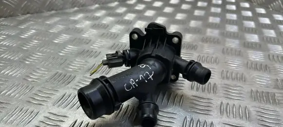 Thermostat/thermostat housing