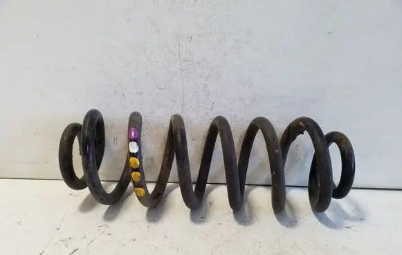 Rear coil spring