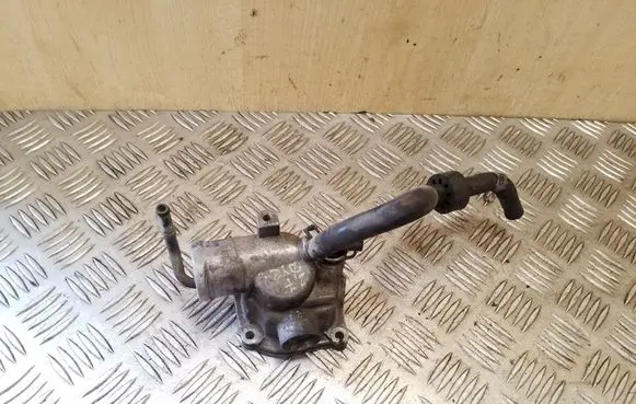 Thermostat/thermostat housing