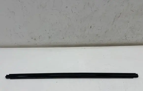 Ford Mustang Mach-E Front door glass trim molding LJ8BR20562AD