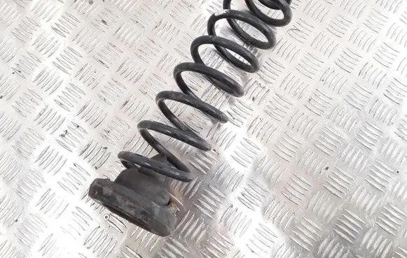 Rear coil spring