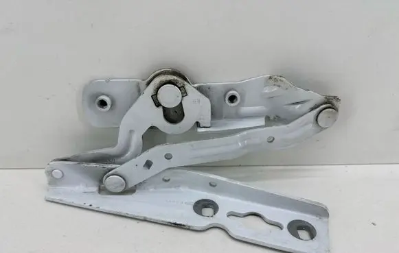 Ford Ecosport Engine bonnet/hood hinges AM5116800AH