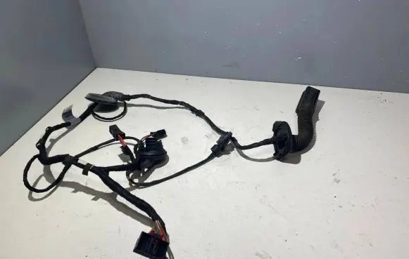 Audi A5 Sportback 8TA Rear door wiring loom 8T8971688J 31072009 TAB010766QJ