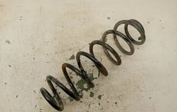 Volkswagen Jetta V Rear coil spring