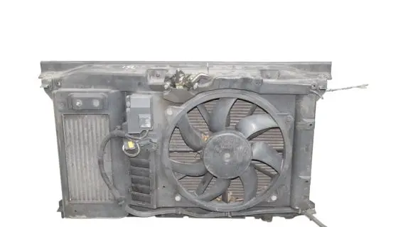 Peugeot RCZ Radiator set 