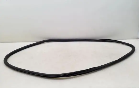 Opel Insignia A Front door rubber seal