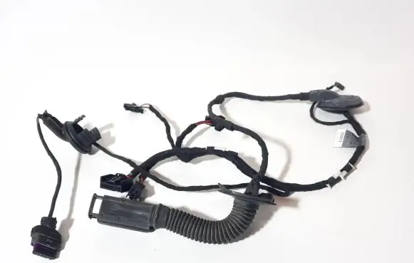 Rear door wiring loom