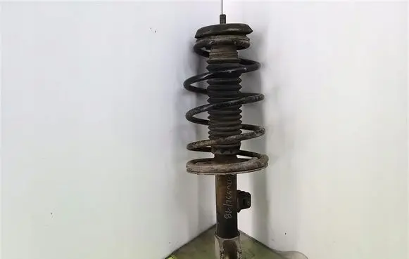 Peugeot 307 Front shock absorber with coil spring 