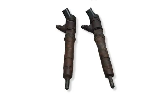Fiat Ducato Fuel injector S27649818 0445110248