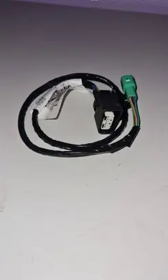 Front door wiring loom