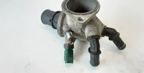 Thermostat/thermostat housing