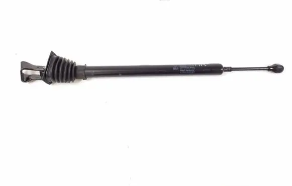 Porsche Panamera (970) Rear door check strap stopper 97053615200