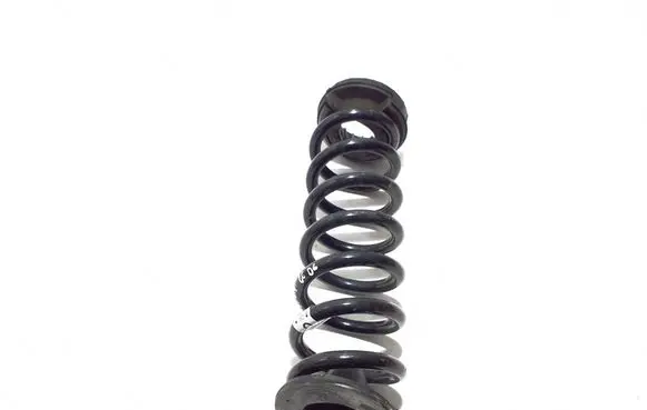 Mercedes-Benz E W214 Rear coil spring A2143241500