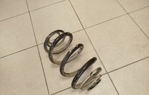 Rear coil spring
