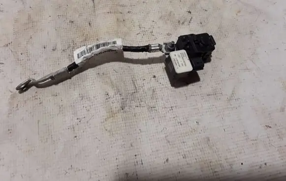 Renault Kangoo III Negative earth cable (battery) 250820499R