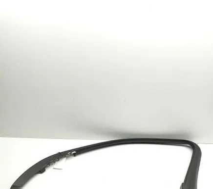 BMW X5 G05 Front door glass trim molding 7445512