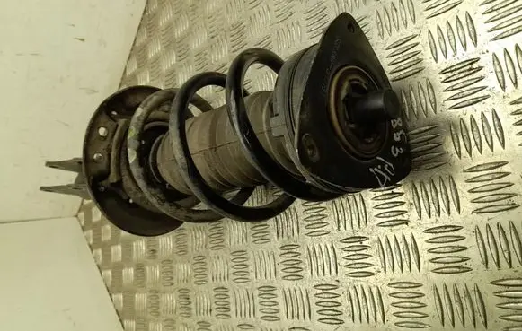 Renault Kangoo III Front shock absorber with coil spring 543021842R