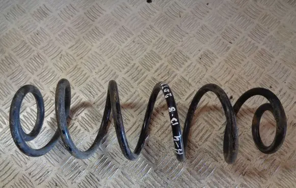 Rear coil spring