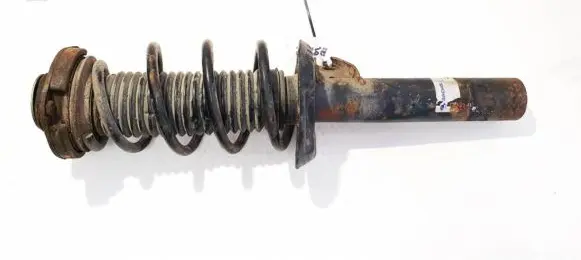 Volkswagen Jetta V Front shock absorber/damper 312615 824904006033