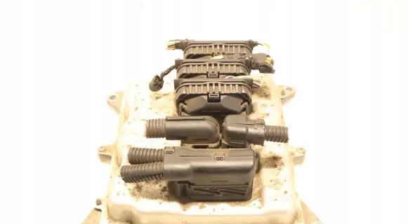 Engine control unit/module ECU