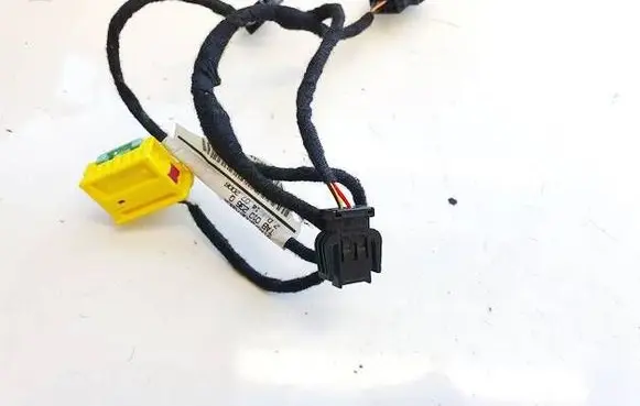 Other wiring loom